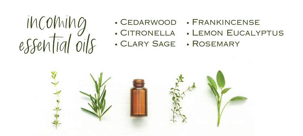 Stark Naked Body Products