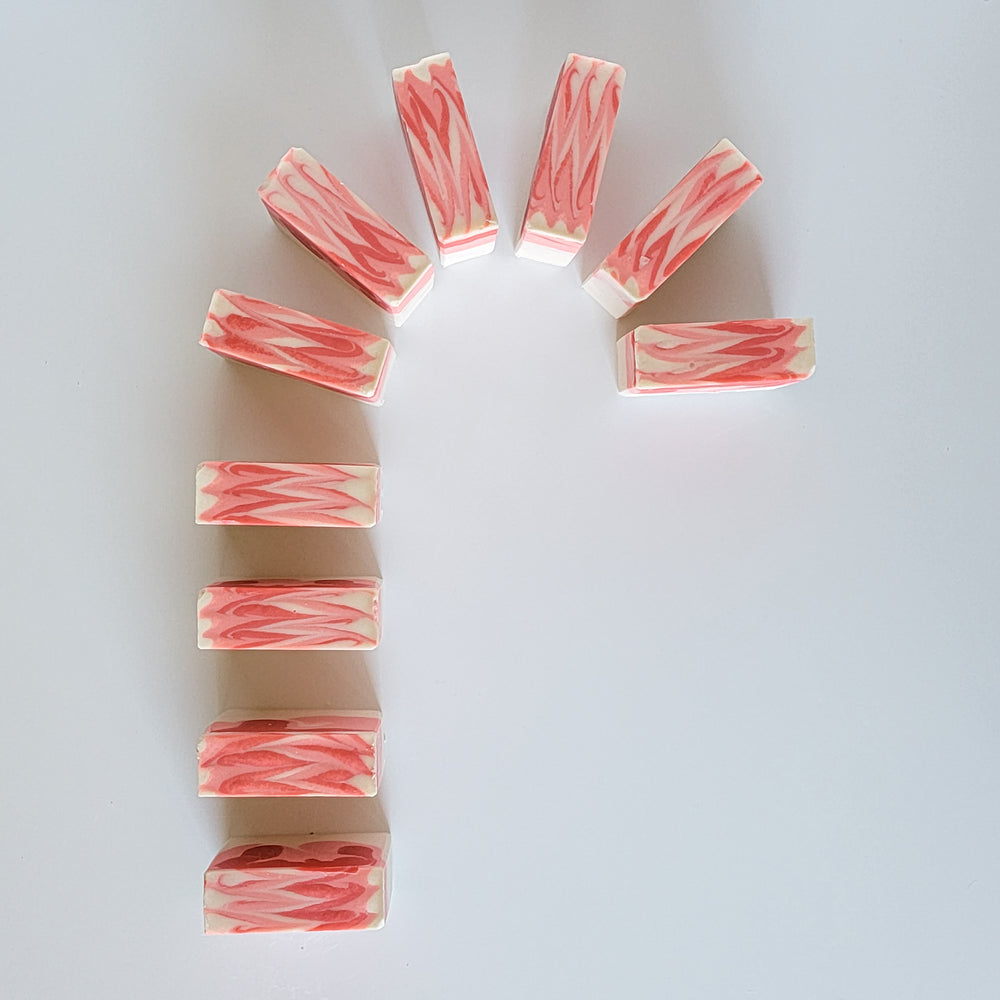 
                  
                    Twisted Peppermint Cleansing Bar
                  
                