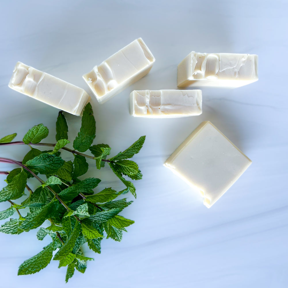 
                  
                    Peppermint Cleansing Bar
                  
                