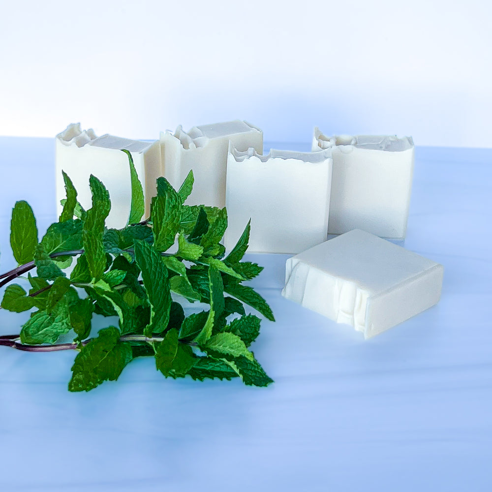 
                  
                    Peppermint Cleansing Bar
                  
                