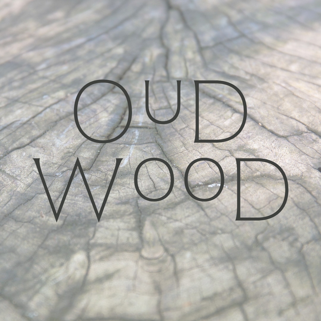 
                  
                    Oud Wood Body Oil
                  
                