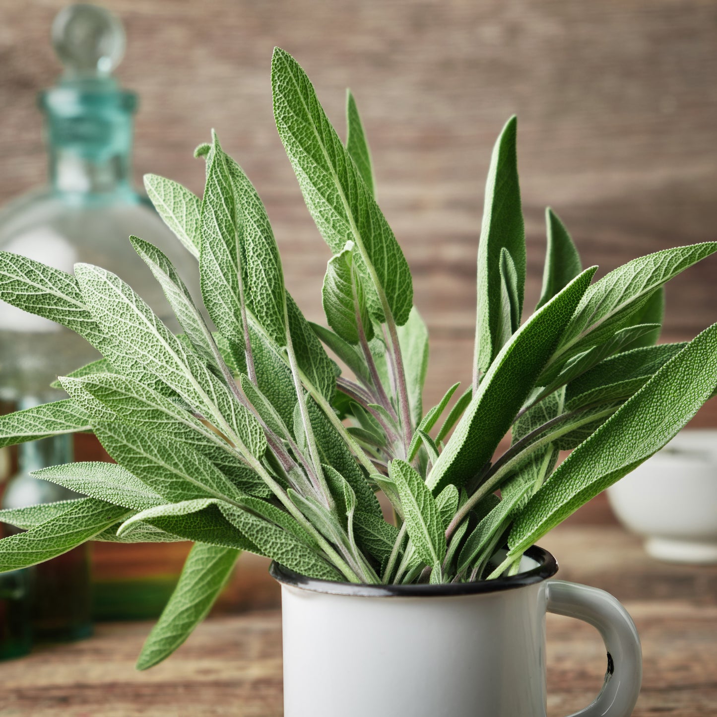 
                  
                    Sage & Lemongrass Sugar Scrub
                  
                