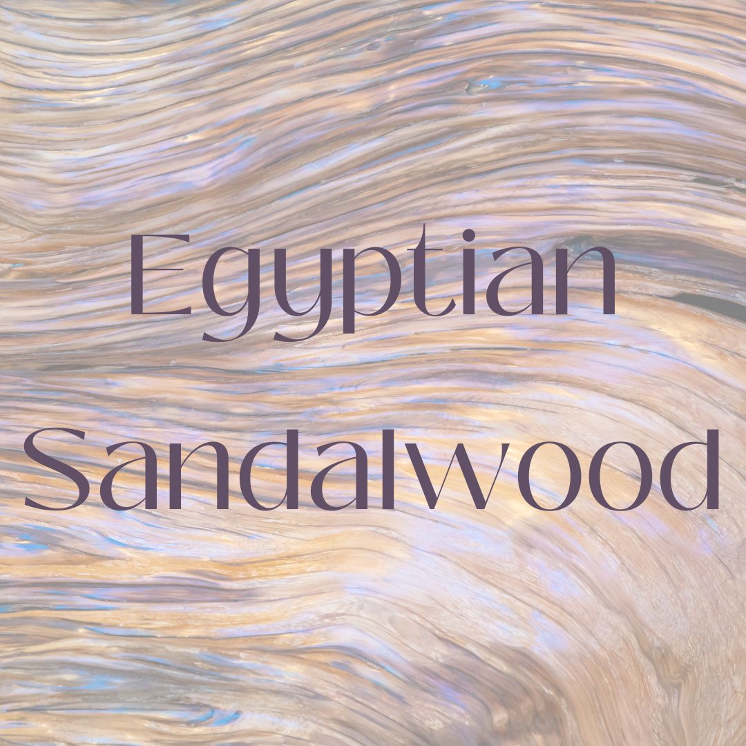
                  
                    Egyptian Sandalwood Body Butter
                  
                